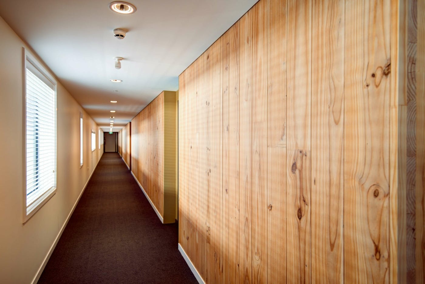 Park Lane interior hallway with CLT min
