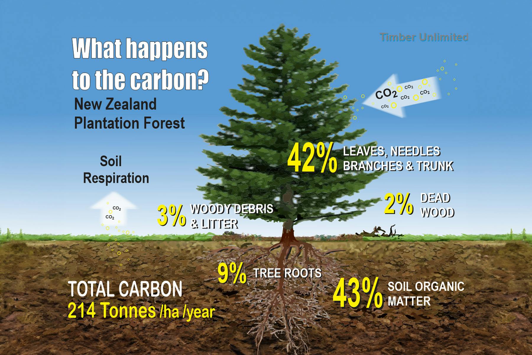 Carbon graphic 2